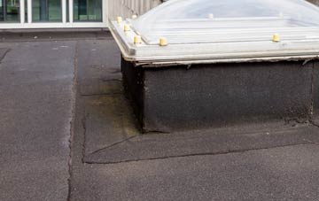 disadvantages of Lampeter Velfrey flat roofs