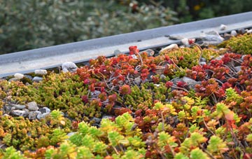 the cost of Lampeter Velfrey green roof installation
