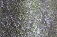 Lampeter Velfrey fibreglass roof work